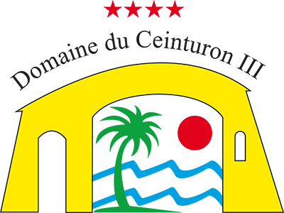 Logo Domaine du Ceinturon 3