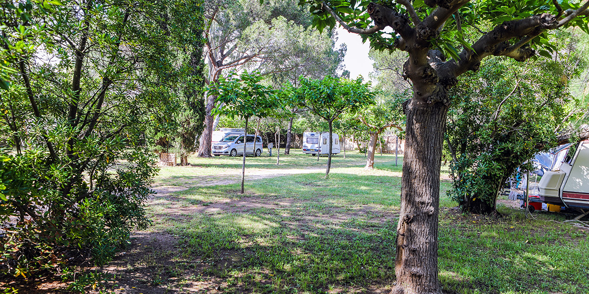 Terrain de Camping Ceinturon 3