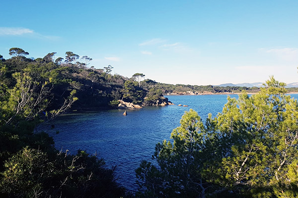 Sentier du littoral à Hyères proche Camping